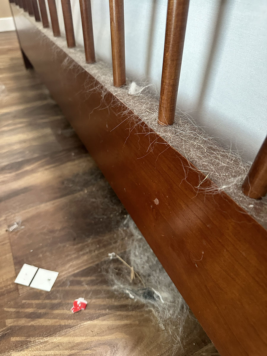 Commercial Cleaning Services