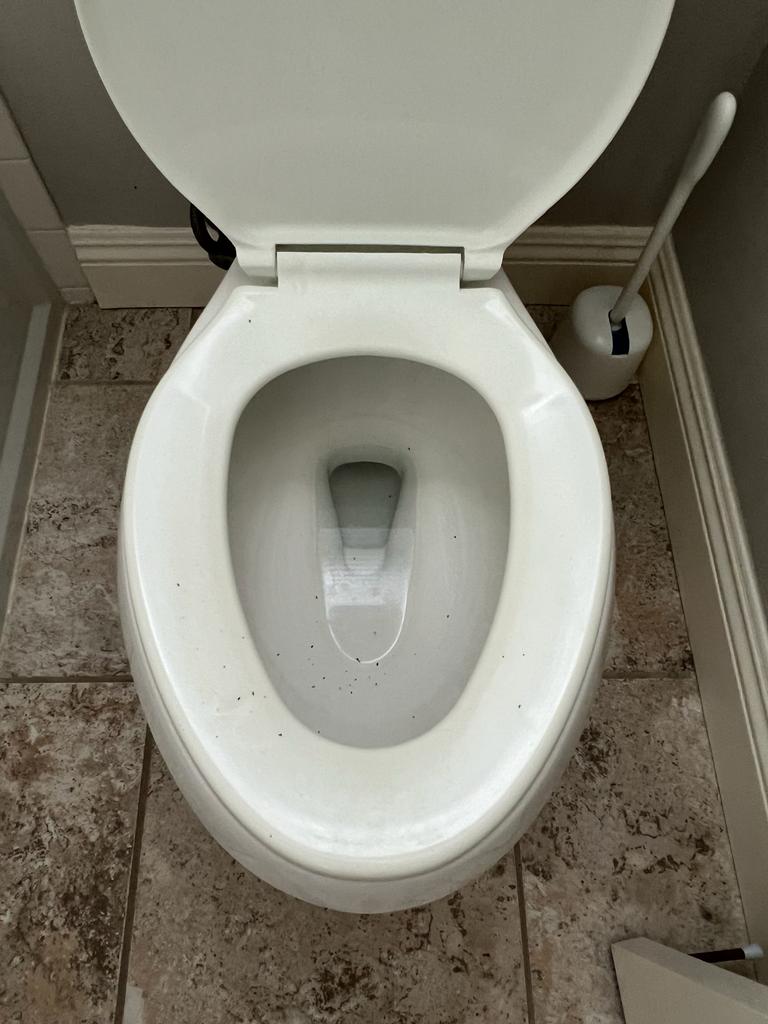 Commercial Cleaning Services