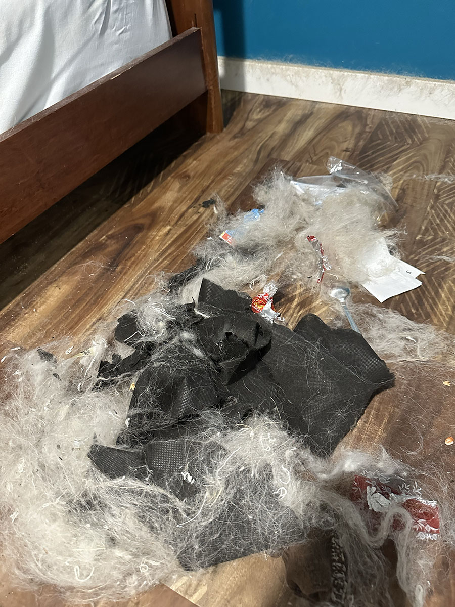 Post Construction Cleaning
