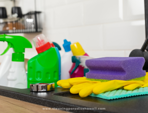 Eco Friendly Mopping Tools: The Sustainable Choice for a Clean Home