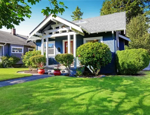 5 Importance of Cleaning the House in Hawaii