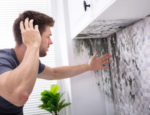How to Prevent Mold and Humidity in Hawaii Homes