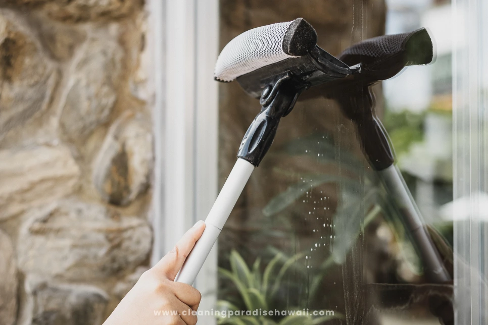 Window Cleaning Services