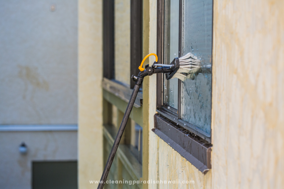 Window Cleaning Services