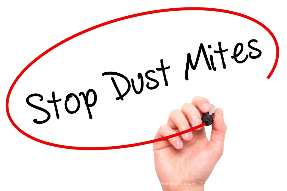 Does Vinegar Kill Dust Mites Naturally