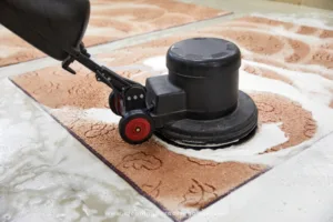 How to Clean Vomit Smell from Carpet