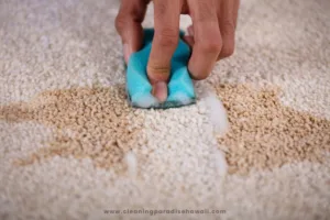 How to Clean Vomit Smell from Carpet