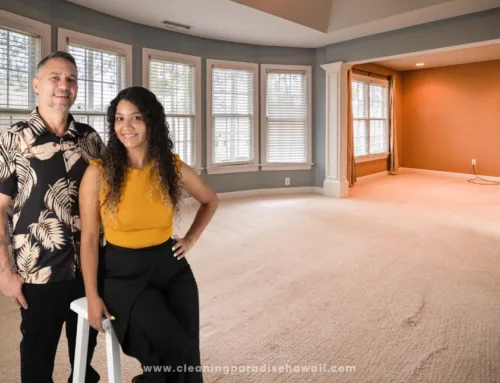 How to Clean Vomit Smell from a Carpet