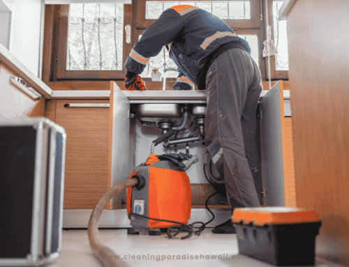 How to Clean Kitchen Sinks and Drains in Hawaii: A Complete Guide for Homeowners