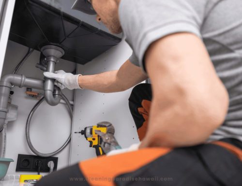 The Ultimate Guide to Cleaning Your Kitchen Sink Drain in Hawaii