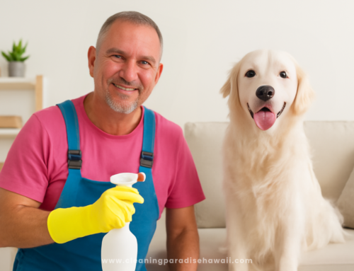 Pet-Friendly Cleaning Services for a Tidy & Safe Home in Hawaii