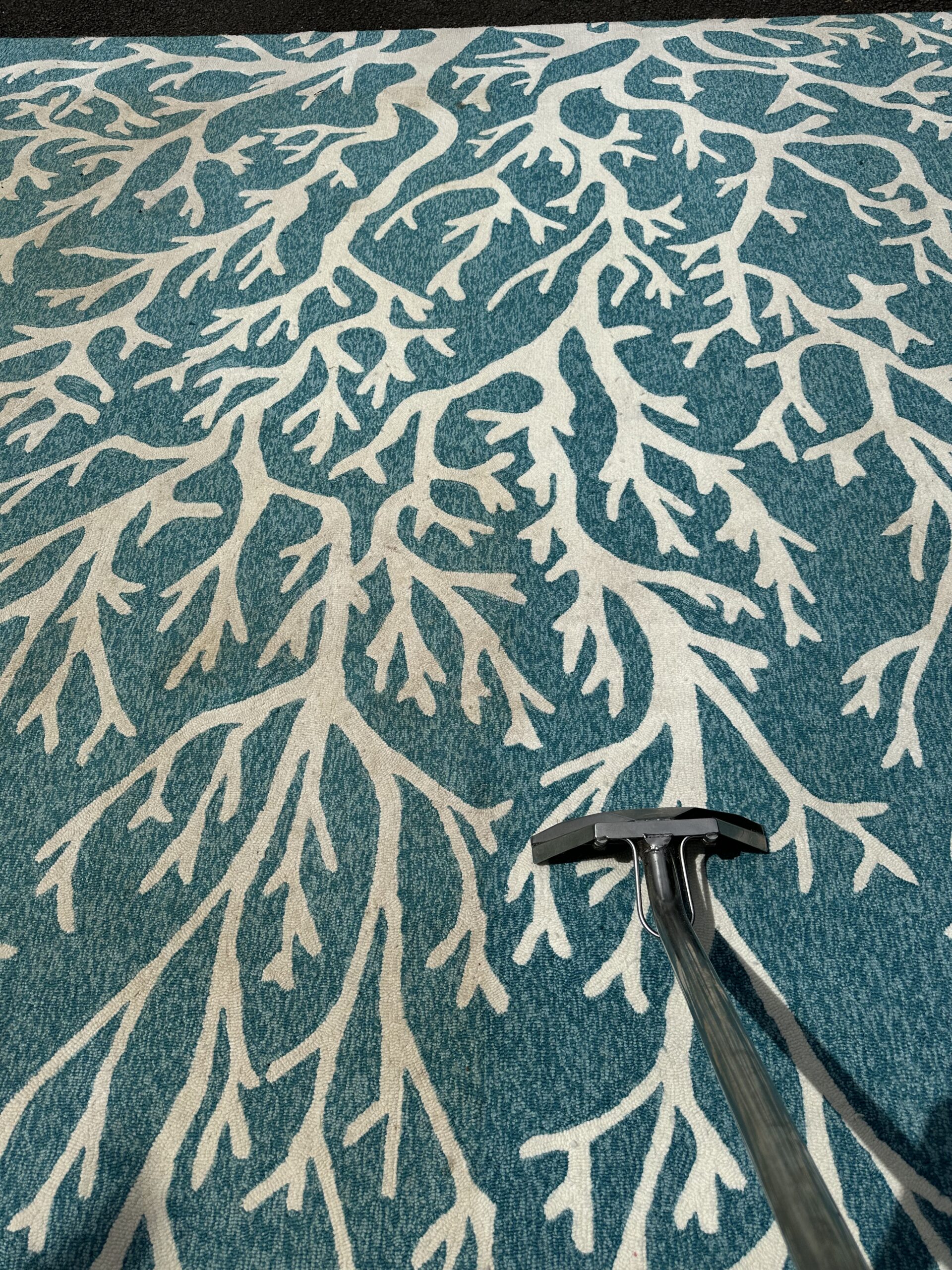 Home Cleaning Services Before Carpet Cleaning in Hawaii