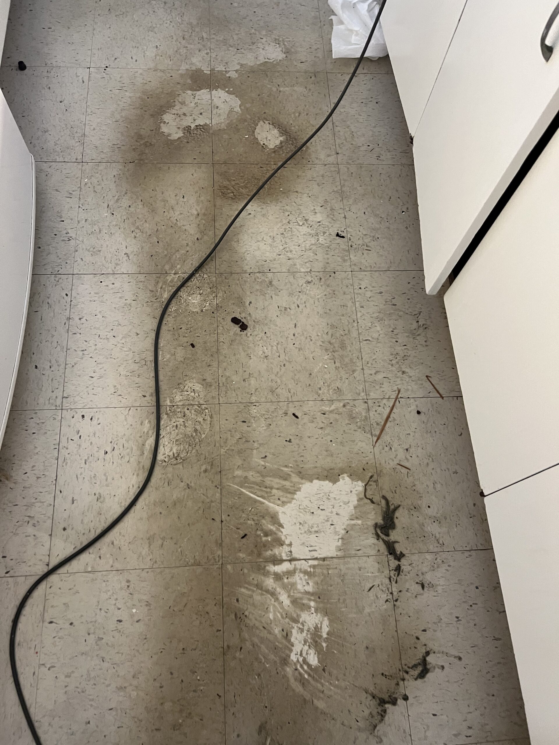 House Organization Services Before