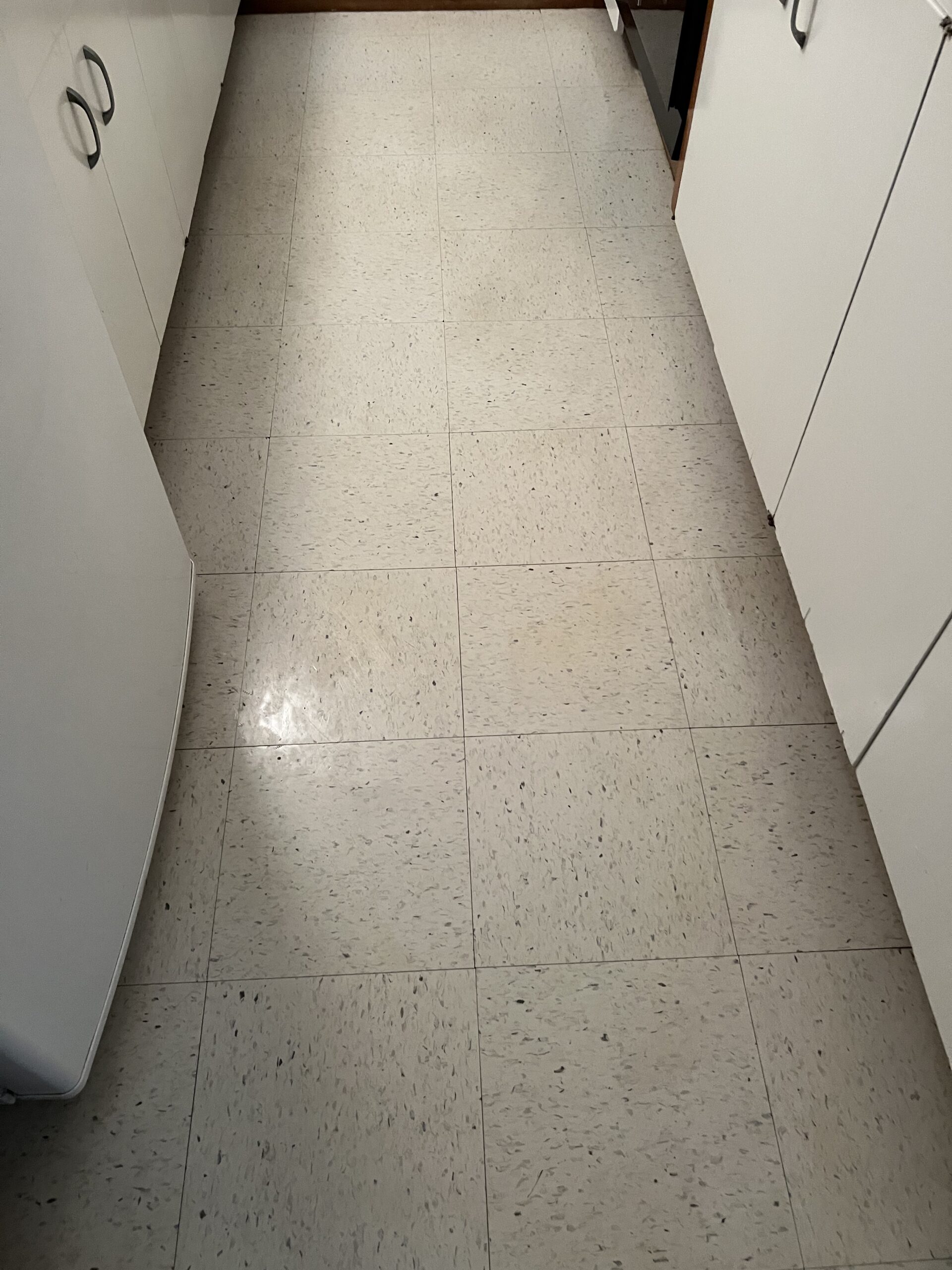 House Organization Services After