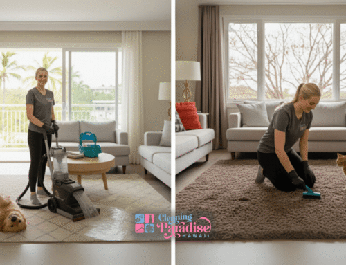 Seasonal Carpet Cleaning Tips for Pet Owners: How to Keep Your Home Fresh Year-Round
