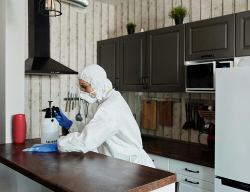 Mold and Humidity Prevention in Hawaii: Essential Summer Cleaning Tips