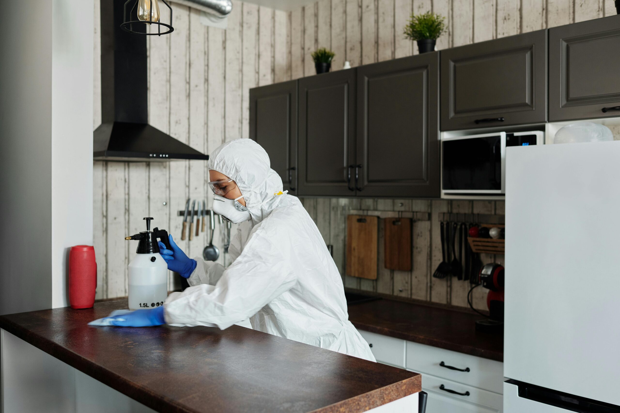 Mold and Humidity Prevention in Hawaii: Essential Summer Cleaning Tips